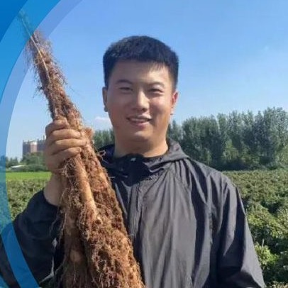 张文龙：从大厂到农场，他返乡做电商，带领全村“走花路”