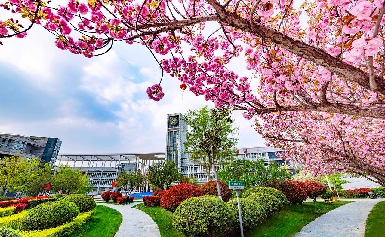 郑州城市职业学院简介图片